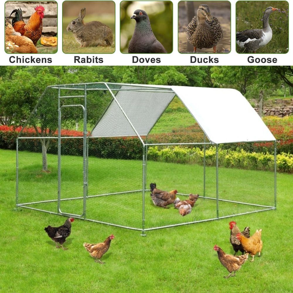 FLAT X-LARGE 30 Chicken Coop Cage House 2 Rooms Rabbit Guinea Pig Walk-in 4 x 3 x 2M Steel Metal Run Enclosure Poultry Coup