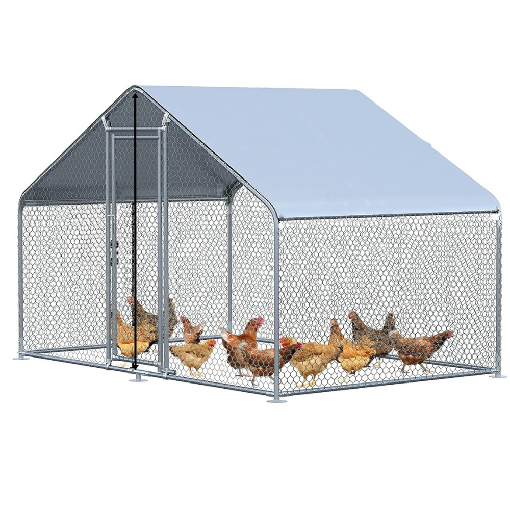XX-LARGE 10 Chicken Rabbit Guinea Pig Walk-in 2 X 3 X 2M Steel Metal Coop Run Enclosure Poultry Cage 