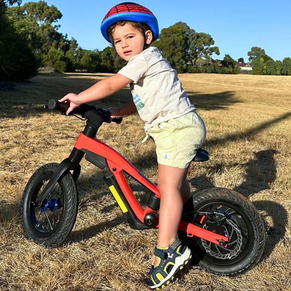 Kids Electric Balance Bike Red 250 W 24V 12" Powered Bicycle Child E-bike Children No Pedal