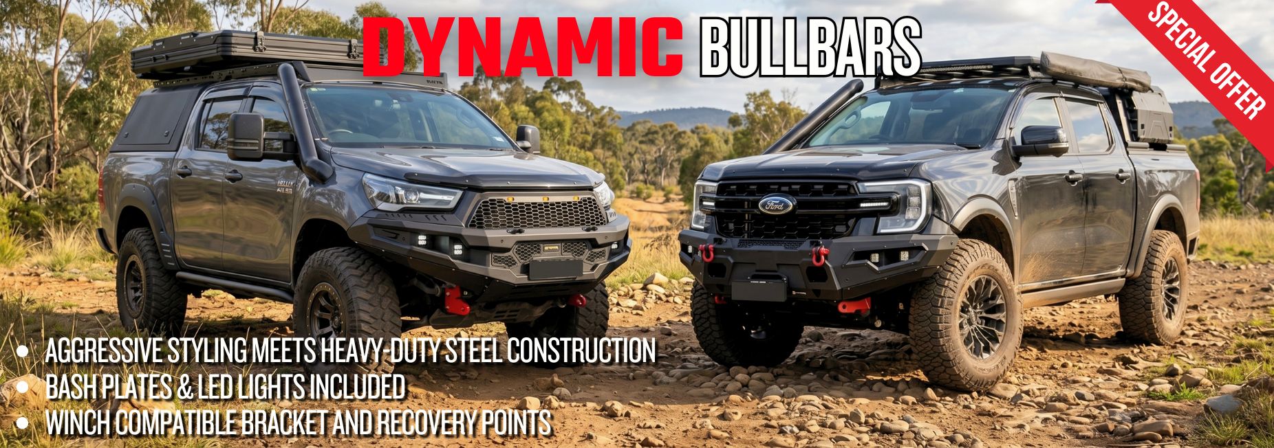 Dynamic BullBar