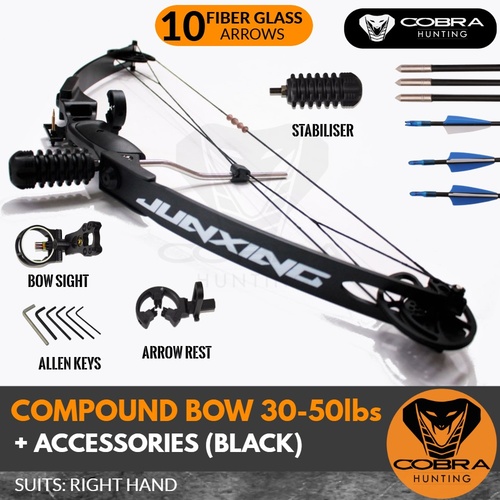 30-50lbs Black Compound Bow + Accessories + 10 Arrows